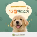 Dr.윤24시동물병원 | 안양본동물의료센터 12월 진료후기, 안양24시동물병원