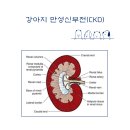 24시청주이음동물의료센터