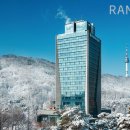 본투메드 동아일보