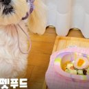 와락펫푸드 네이버블로그