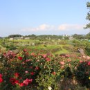 반려동물 테마공원 화장실 이미지