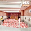 레인보우영동도서관 | 국내 힐링여행 가볼만한곳 충청북도 실내 여행지 영동 레인보우힐링센터 입장료 할인 팁