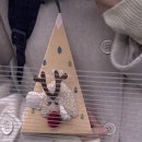 가현헬스 이미지