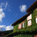 궁중누룽지백숙 이미지