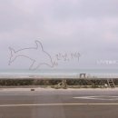 제주에 오길 잘했다 이미지