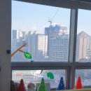 슬기로운 댕댕 유치원 | 강아지 동반 출근을 위한 사무실 인테리어!