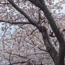 제일세탁마을 이미지