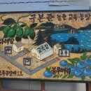 팔선농장 네이버블로그