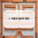 연세행복을심는치과의원 이미지