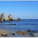 바다그림 이미지