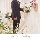 예손플라워카페 이미지