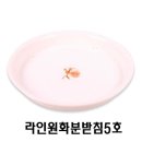 웰빙플러스 이미지