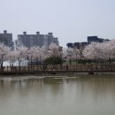 운천저수지 이미지