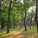 계림31공원 티스토리