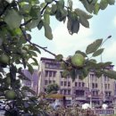 건축사사무소 동방 이미지