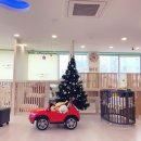 한일애견미용실 이미지