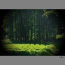 여행스케치 B 이미지