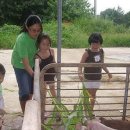 강산자연농장 이미지