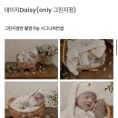 구룡달전로 | 대전 아기 성장앨범::더네추럴스튜디오 그린점 본아트 후기