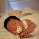 모유수유맘 간식 추천! 든든한 우리쌀 음료 <해브어라이스데이> 후기