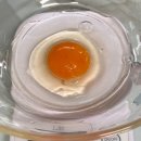 서울파머 | 프레시파머 올림픽파크 포레온 직영점 계란(유정란) 구매 방문 후기 서울 강동구 맛집 달걀