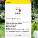제주 렌터카 롯데렌터카 오토하우스