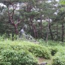 11호어린이공원 이미지