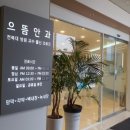 이레안과의원 | 열공성 망막박리로 인한 망막 유리체 절제술 (전주 으뜸안과 수술후기&amp;주의사항)