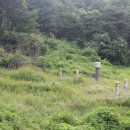 황세득 묘 이미지