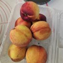 베이킹스토리초이스 이미지