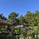 죽산포 | 강화도 이색데이트 필수 코스! 북한이 코앞? 화개정원 전망대 정복기