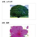 한울학교(특수학교) 이미지