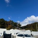 신세대세탁 | 쉬오트 애견풀빌라 | 경주,애견풀빌라,신축독채풀빌라,개별수영장,개별바베큐