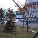 진성산전 이미지