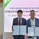 중동유통