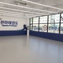 한국체대천마태권도장 이미지