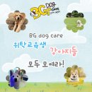 BG독케어센터 이미지