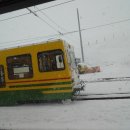 김성수행정사 이미지