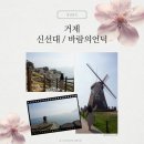 신기산업 거제 | 거제 바람의언덕 신선대 - 주차 거제가볼만한곳 거제노을명소