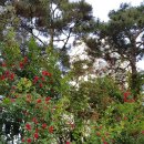 송파공인 일반 행정사사무소 이미지