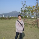 을숙도 철새공원 이미지