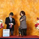 Jena house 이미지