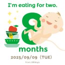 하늘과땅 | 26W-34W. 중기와 후기는 하늘과 땅 차이였다.