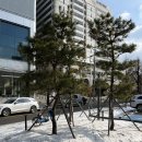 투썸플레이스 포이DI점 | 양재동카페 투썸 로투스아박 가격 칼로리 내돈내산
