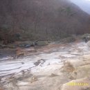 용수골농원