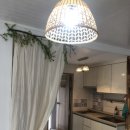 제주나랑하 이미지