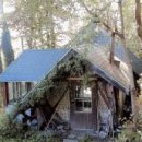 처음 시작하는 그림 이미지