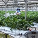 덕재농장 이미지