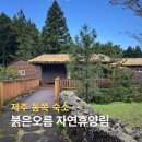 제주가 좋아서 | 제주 동쪽 숙소 붉은오름 자연휴양림 참꽃나무실 숙박 후기