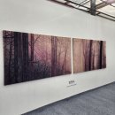 한국춘란 전시회 | 2022년 거제섬꽃축제 전시회 끝 (국화축제)